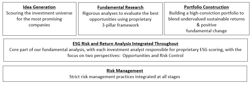 asia exJapan investment process